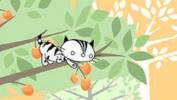 250806_pp_pimmangogroter